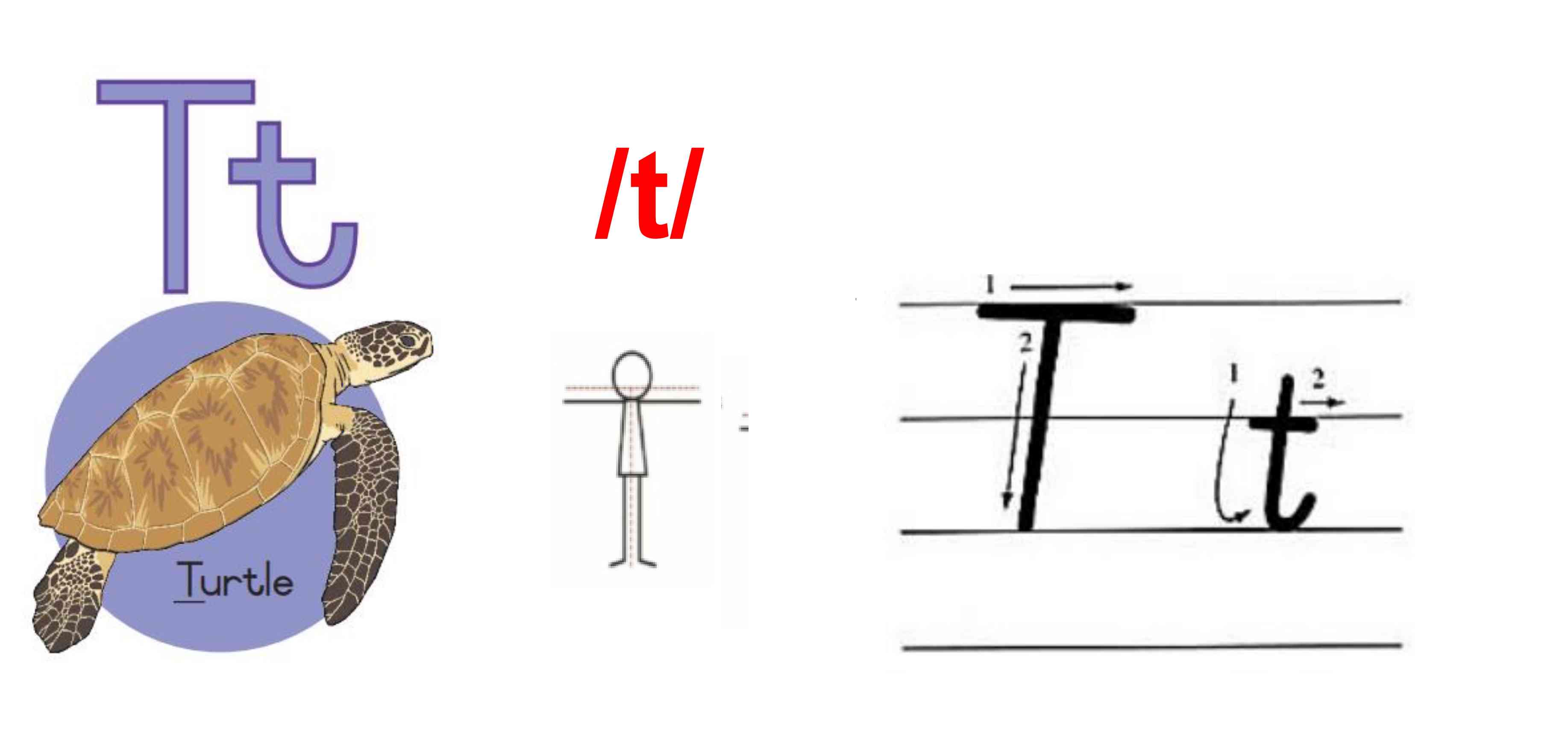T